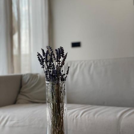 Roemer Apartment Und Zimmer Turkheim Bagian luar foto