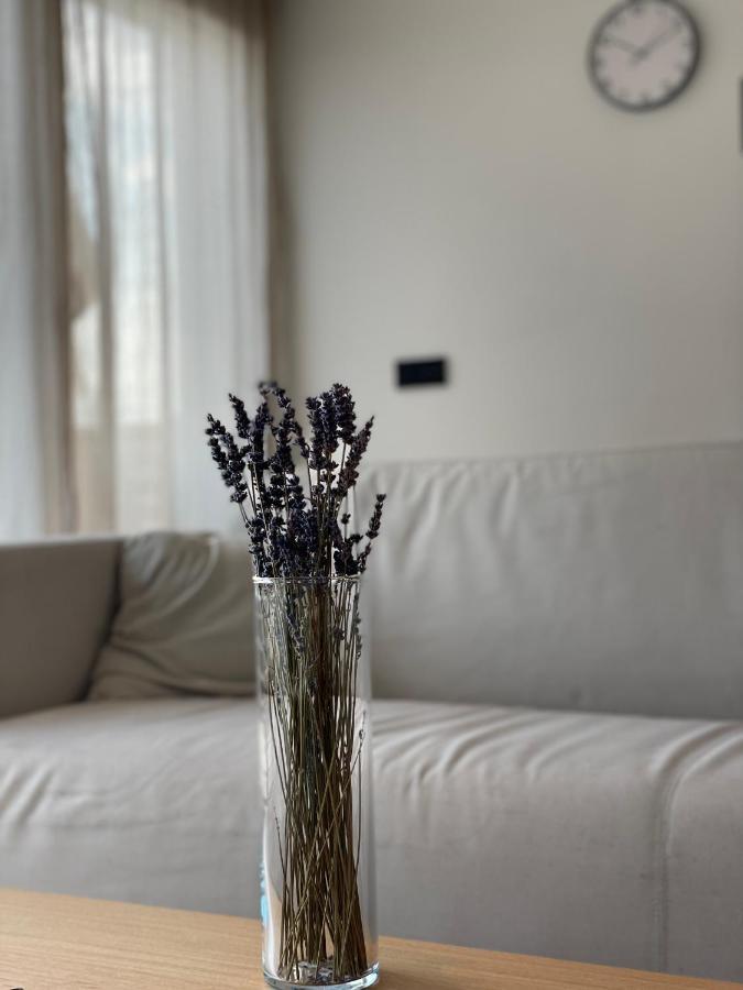 Roemer Apartment Und Zimmer Turkheim Bagian luar foto
